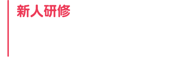 新人研修